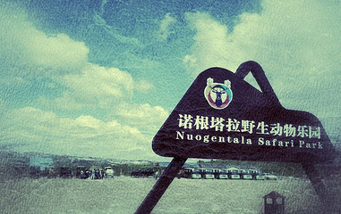 乌兰布统诺根塔拉野生动物乐园第 9 张图片