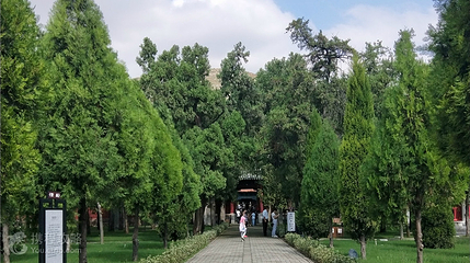 曾庙景区第 4 张图片