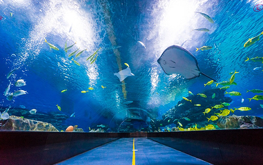 海合安天津极地海洋公园第 181 张图片