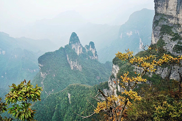 天门山索道第 15 张图片
