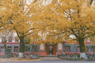 四川大学(望江校区)第 35 张图片