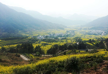 江岭景区第 90 张图片