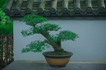 百花潭公园第 23 张图片