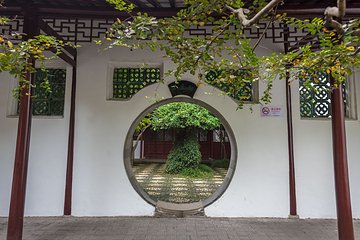 醉白池第 19 张图片