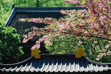 琅琊寺第 24 张图片