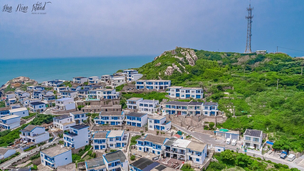 花鸟岛第 5 张图片