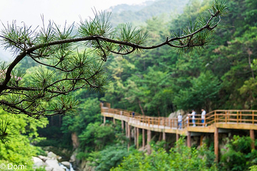 崂山九水游览区第 17 张图片