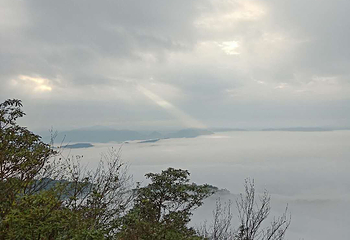 大桂山国家森林公园第 33 张图片