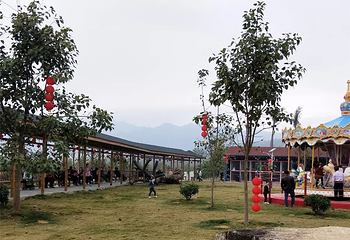 念恩山生态旅游景区第 15 张图片