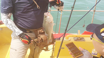 青岛鱼山鱼海海钓服务中心