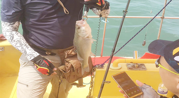 青岛鱼山鱼海海钓服务中心