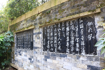 沈园第 77 张图片