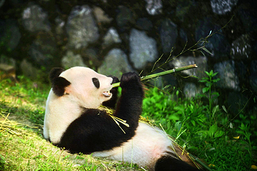 茱萸湾风景区第 16 张图片