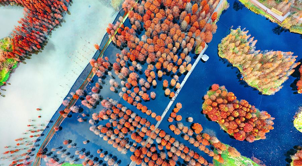 上海青西郊野公园