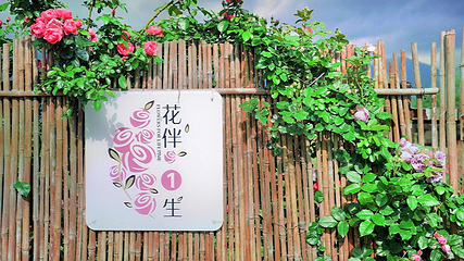 花伴一生玫瑰庄园第 15 张图片