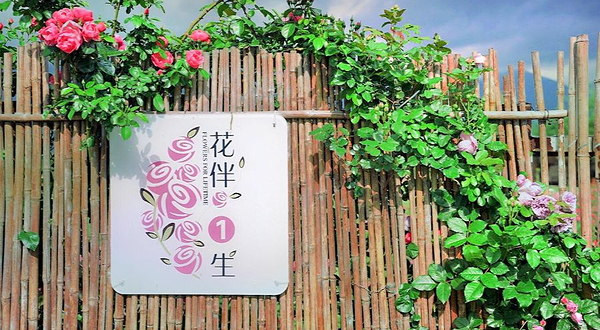 花伴一生玫瑰庄园