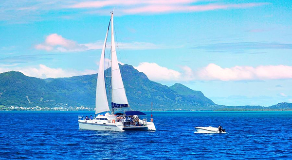 双体船畅游海豚湾