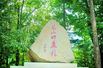 火山口国家森林公园第 19 张图片