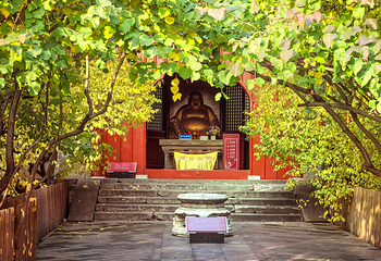 大觉寺第 3 张图片