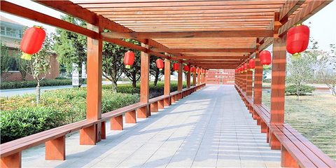 今世缘旅游景区第 8 张图片