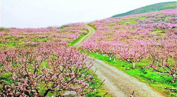 下廊村桃花溪风景区