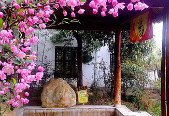 观唐温泉第 41 张图片
