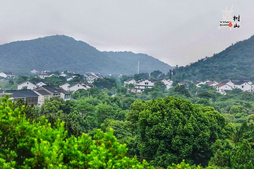 树山生态村第 19 张图片
