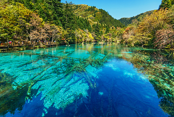 九寨沟风景区第 39 张图片