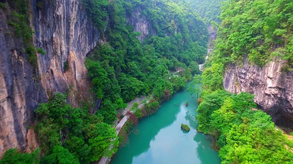 中亚楠木林风景区第 1 张图片