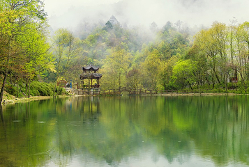 二郎山喇叭河风景区第 92 张图片
