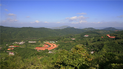 雁南飞茶田景区第 35 张图片