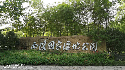 西溪国家湿地公园第 239 张图片