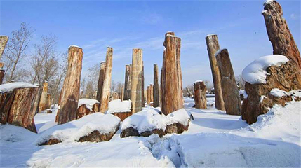 新疆古生态园汗血马基地第 31 张图片