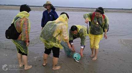 疍家赶海区第 4 张图片