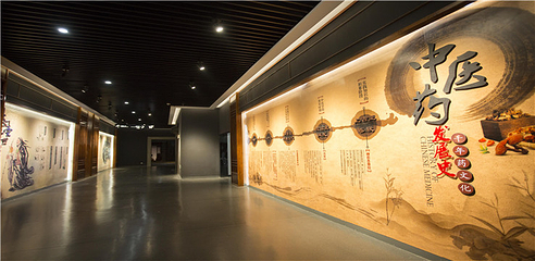 亳州市展览馆第 4 张图片