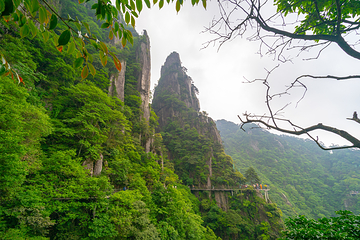 羊狮慕风景区第 16 张图片