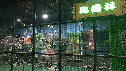 宜昌海底世界第 19 张图片