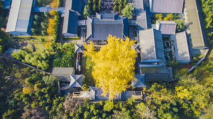 古观音禅寺第 3 张图片