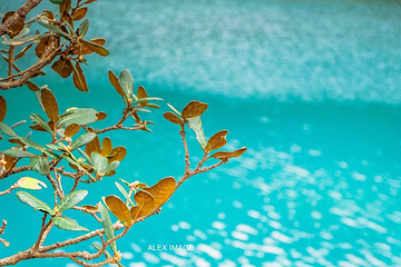 蓝月谷第 88 张图片