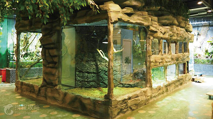 JOLI ZOO(龙湖虹桥天街购物中心A馆店)第 4 张图片