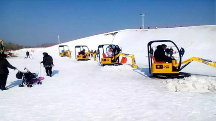 太阳岛冰雪大世界第 26 张图片
