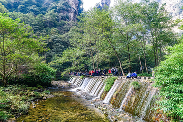 金鞭溪峡谷第 12 张图片