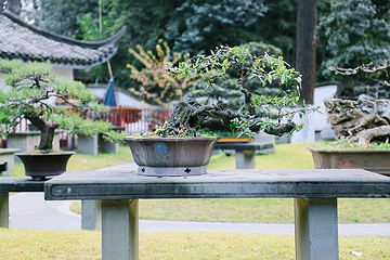 百花潭公园第 12 张图片