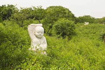 唐山旅游岛第 8 张图片