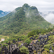 玉石林风景区