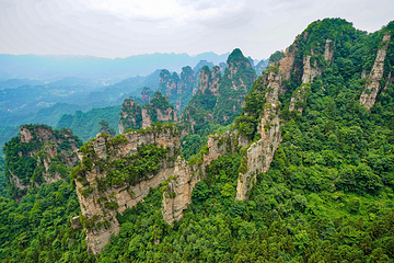 天子山风景区第 13 张图片