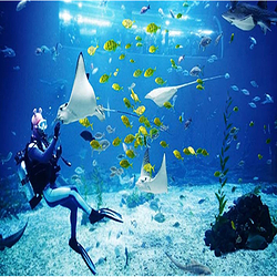 福建天柱山欢乐大世界