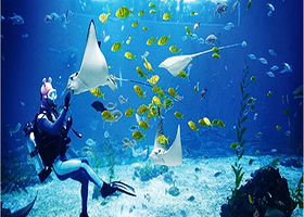 福建天柱山欢乐大世界