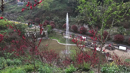 古郡·花果溪第 27 张图片