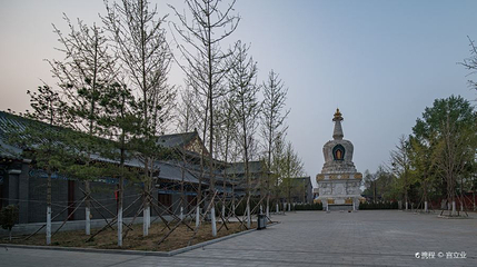 东塔园第 1 张图片